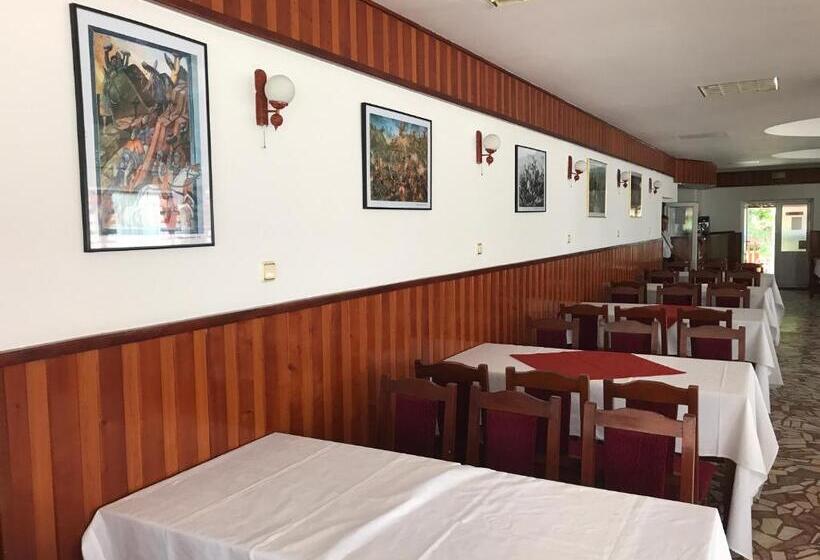 Мотель Pensiunea Basarabia