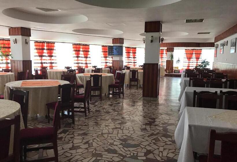 Мотель Pensiunea Basarabia