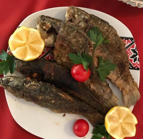 Мотель Pensiunea Basarabia