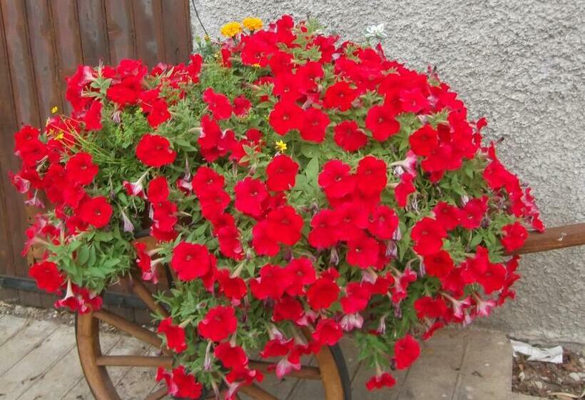 פנסיון Au Coeur De La Campagne Gite Non Loins D Annecy à 17 Min D Annecy Tout Prêt D Aix Les Bains