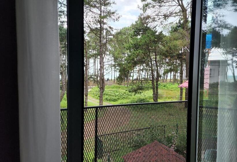 پانسیون Black Sea House Georgia