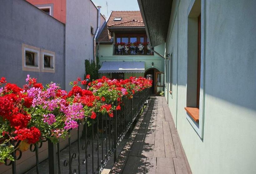 بنسيون Boutique Penzión Slovenská   Penzión Bella Sicilia