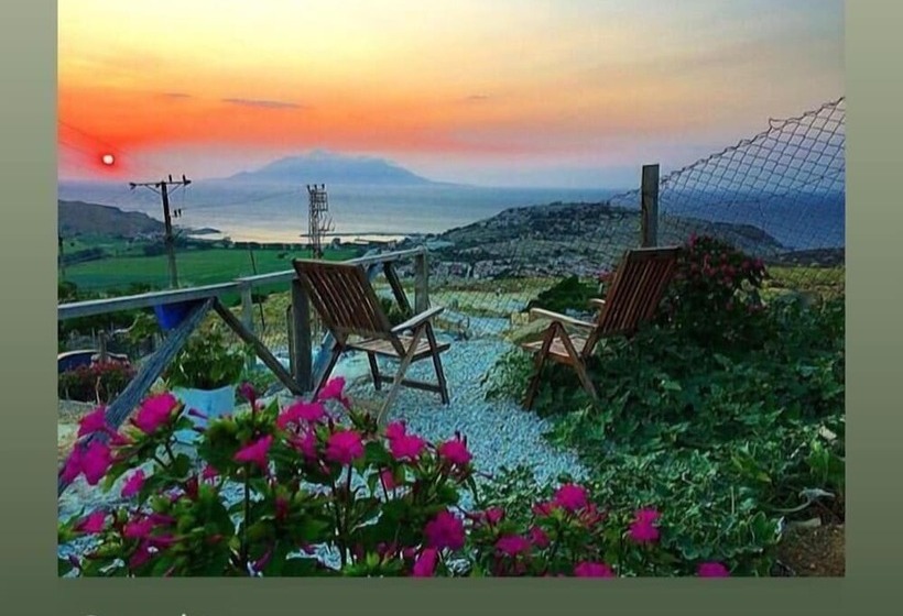 膳宿费 Dimitri Ada Evi & Restaurant