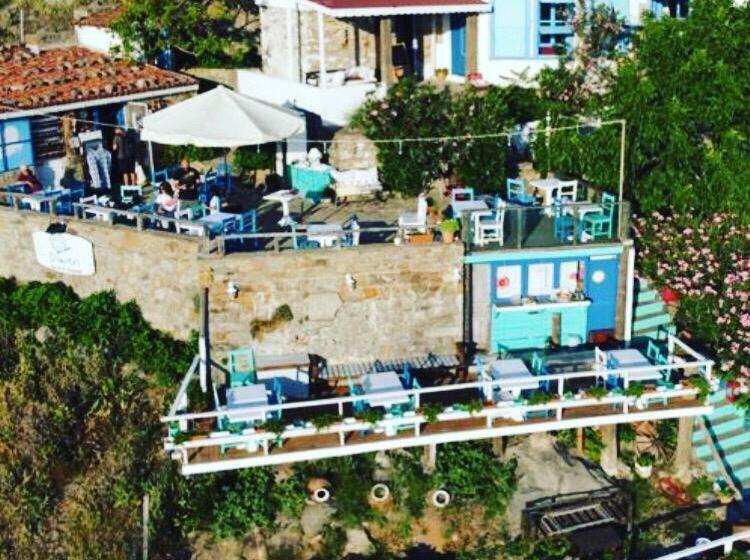 膳宿费 Dimitri Ada Evi & Restaurant