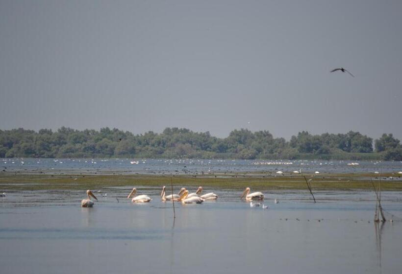 膳宿费 Gorgova Inn