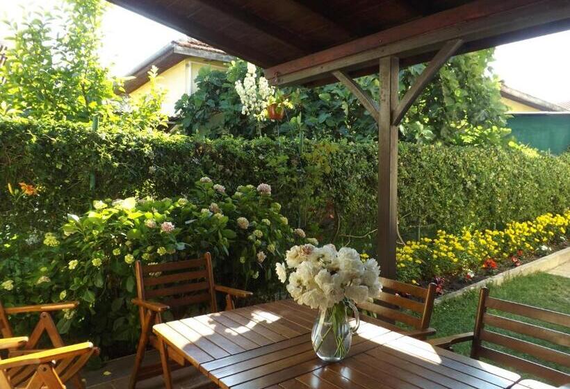 펜션 Guest House Hiora