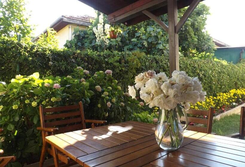 펜션 Guest House Hiora