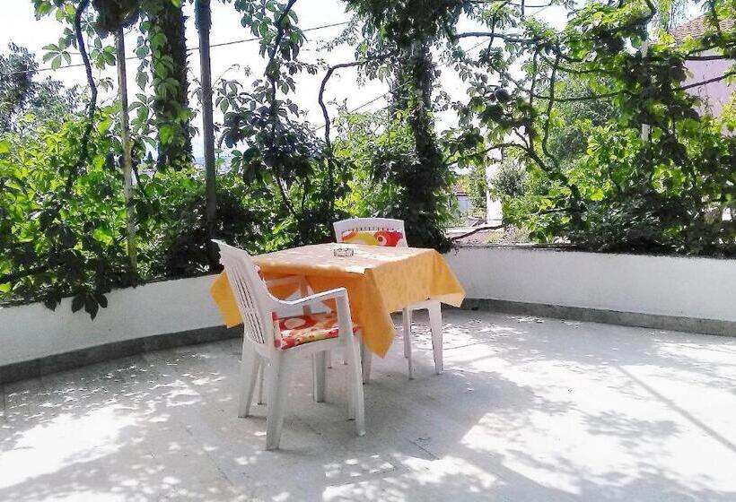 Пансион Guesthouse Cecilia