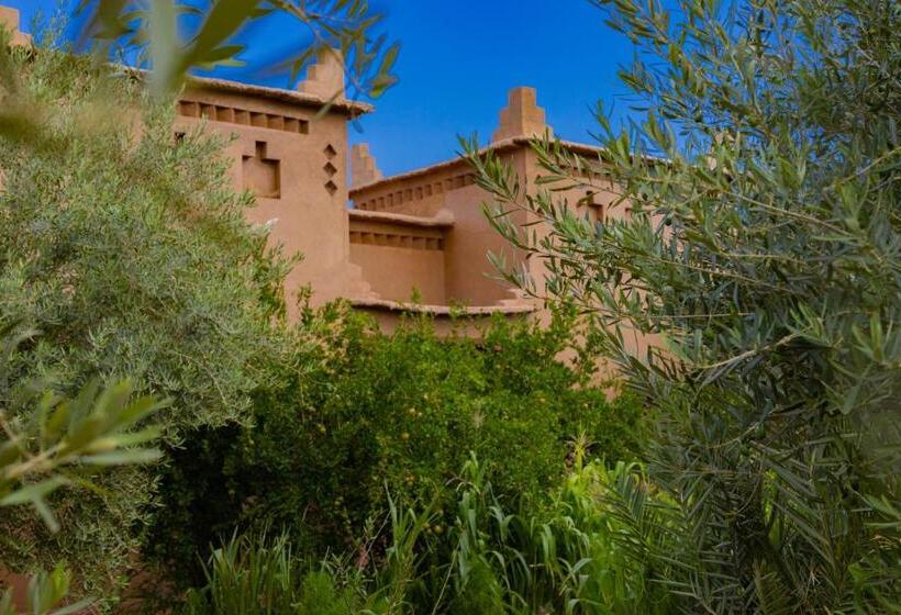 بنسيون Maison D'hôte Amridil