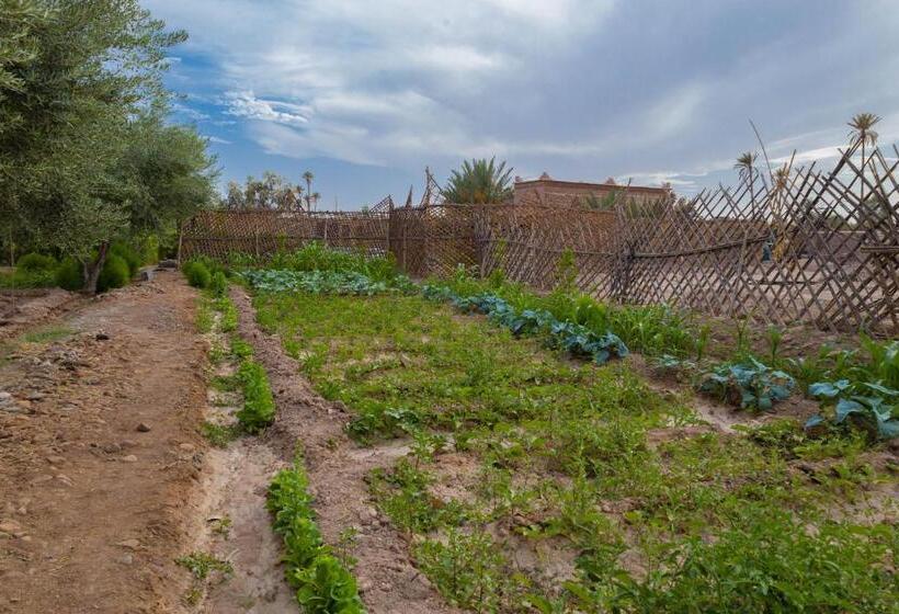 بنسيون Maison D'hôte Amridil