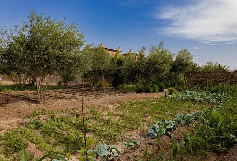 بنسيون Maison D'hôte Amridil