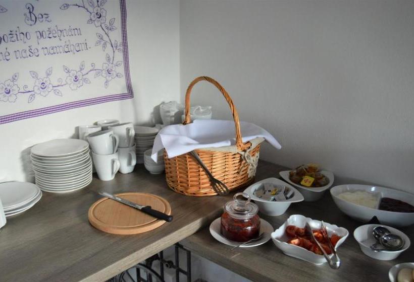 פנסיון Penzion Pod Rozhlednou