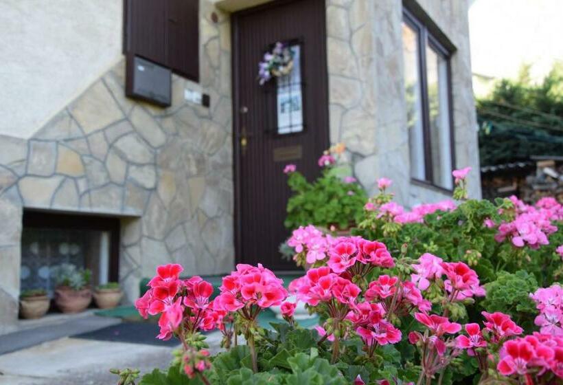 膳宿费 Pesti Vendégház Zalalövő