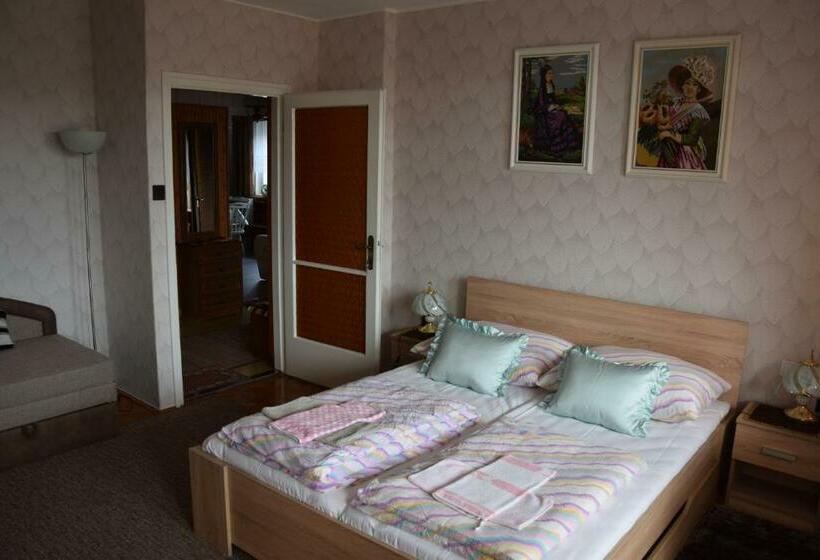 膳宿费 Pesti Vendégház Zalalövő