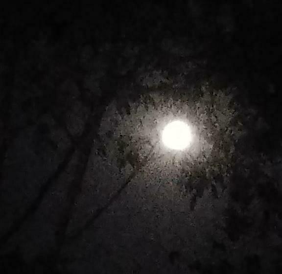 Пансион Pousada Cantinho De Deus