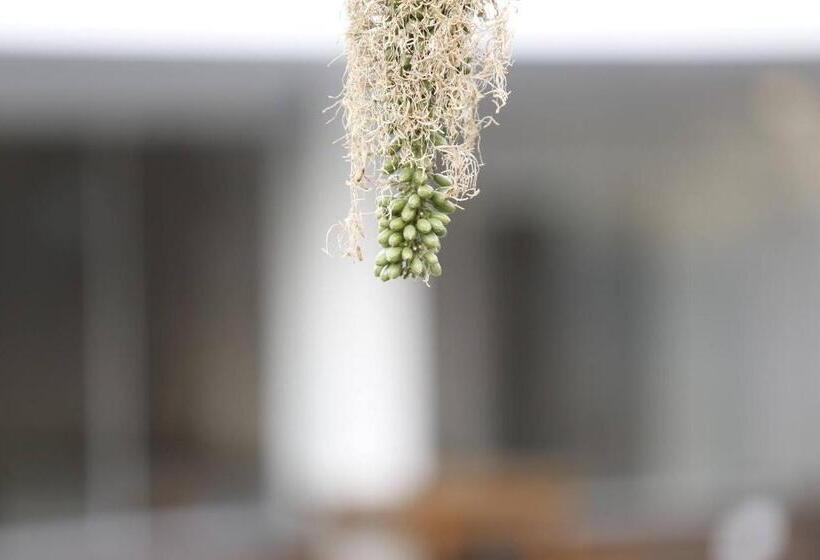 Пансион Pousada Mirante Da Lua