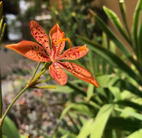 Пансион Pousada Mirante Da Lua