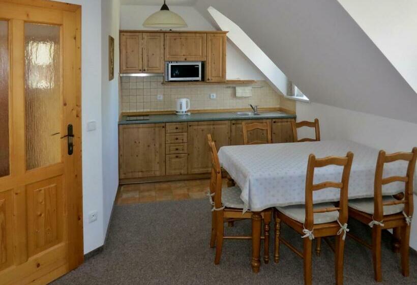 פנסיון Selský Dvůr 2