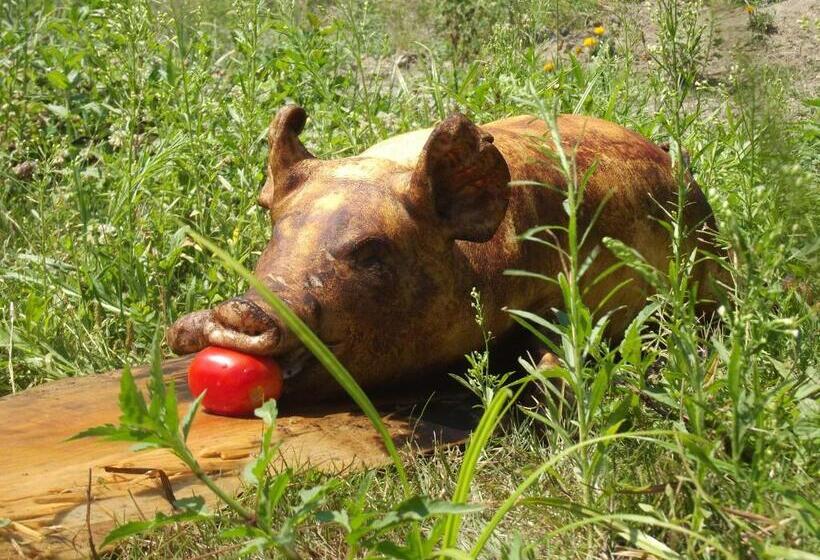 Pensiunea Casa Zmeilor