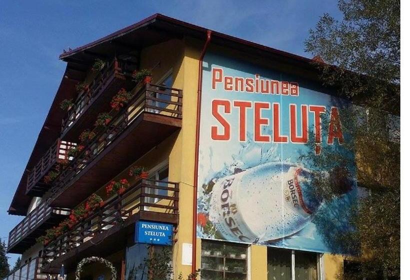 Pensiunea Steluta