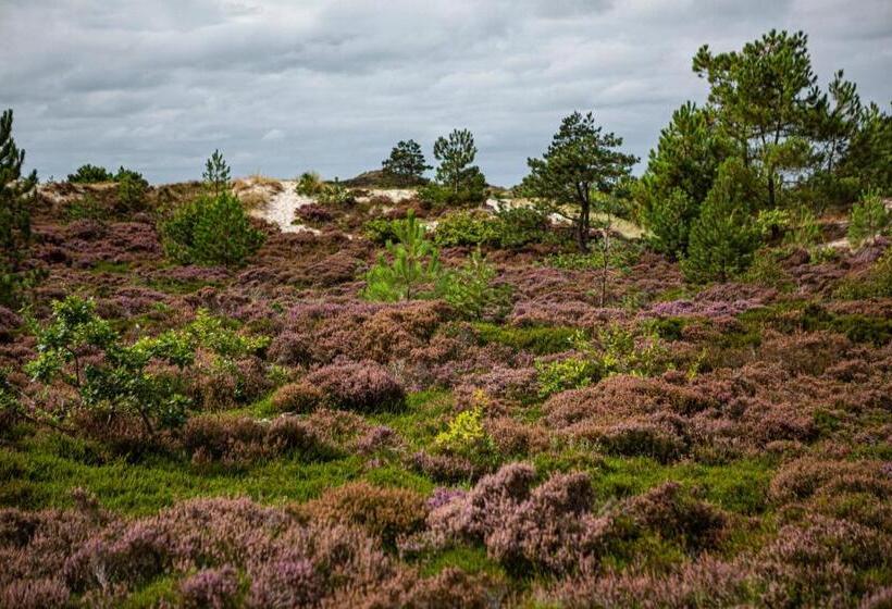 Strandstudio S Camperduin