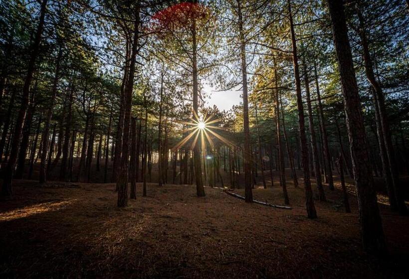 Strandstudio S Camperduin