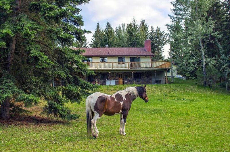 The Cozy Cubbyhole B&b