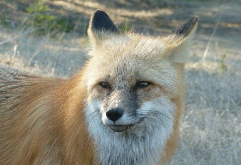 The Cozy Cubbyhole B&b