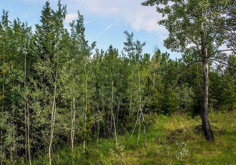 The Cozy Cubbyhole B&b