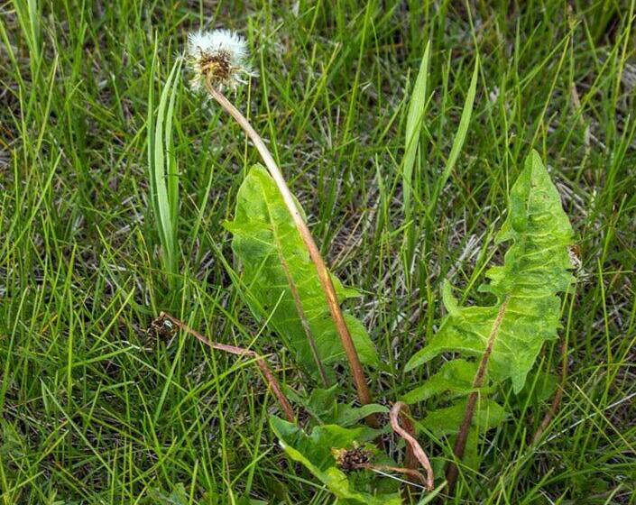 The Cozy Cubbyhole B&b