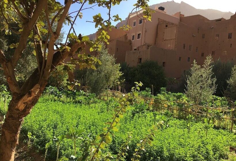 پانسیون La Petite Gorge, Hôtel & Restaurant Todra Gorge