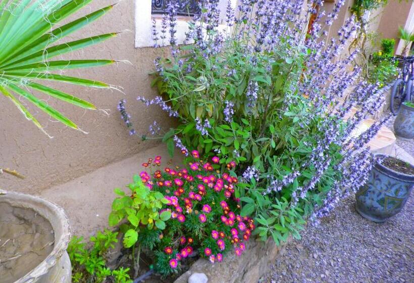 בית מלון כפרי Auberge La Fibule Du Dades