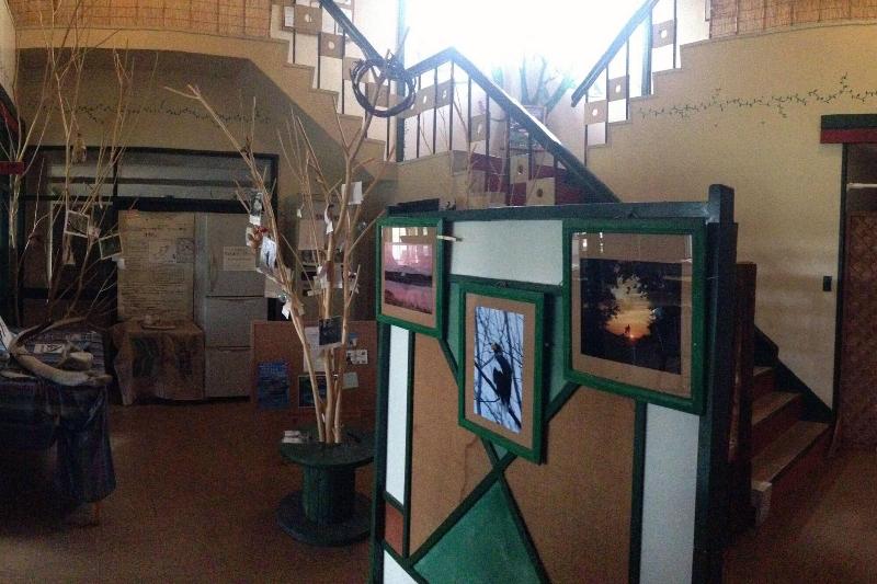 酒店 Koshimizu Hana Kotori Youth Hostel