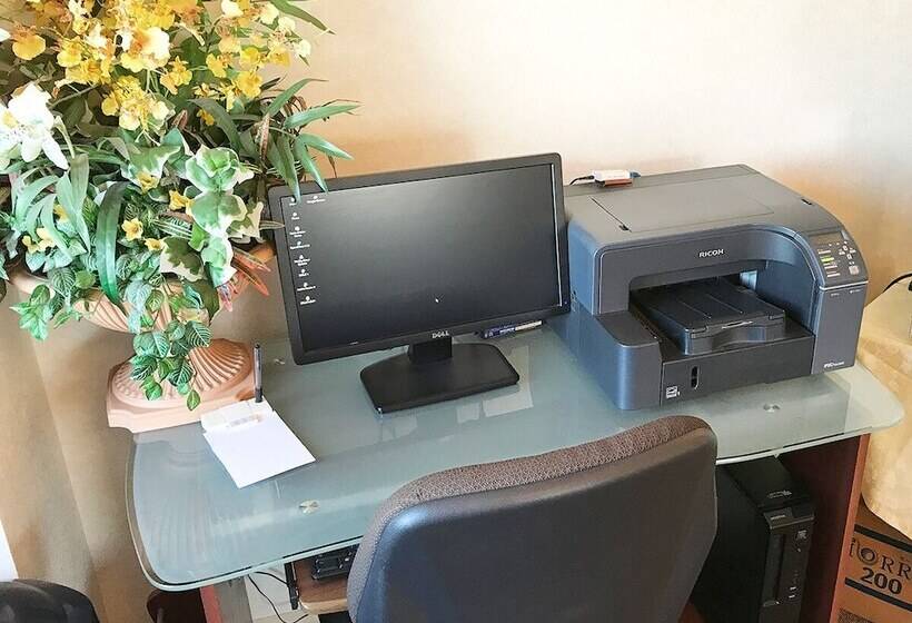 Ryugasaki Plaza Hotel Shinkan