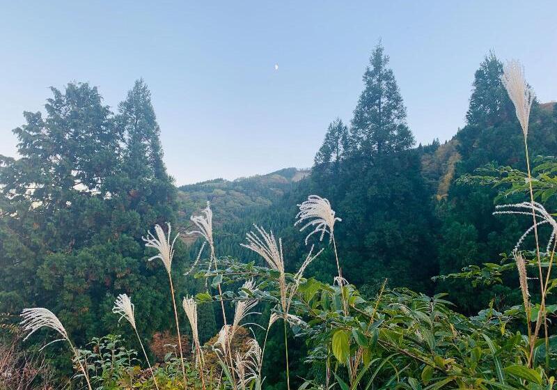 Пансион Tabist Minshuku Kyouguchiya Hachibuse