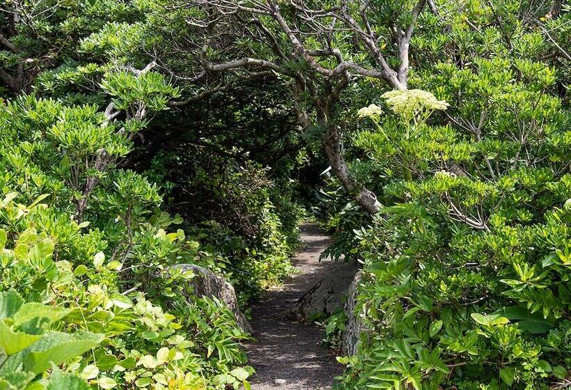 ריוקאן Misaki Kanko