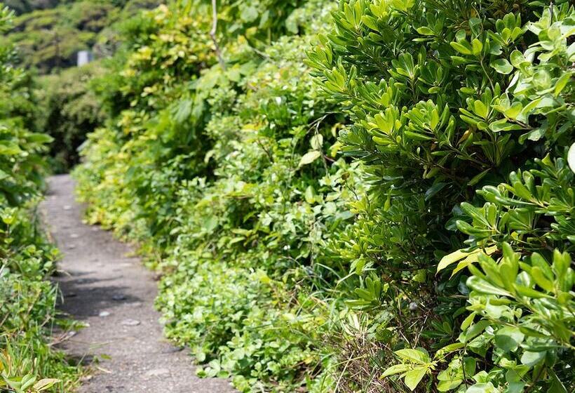 ריוקאן Misaki Kanko