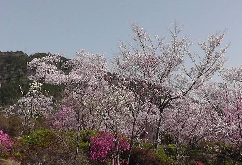 ريوكان Nikkoen