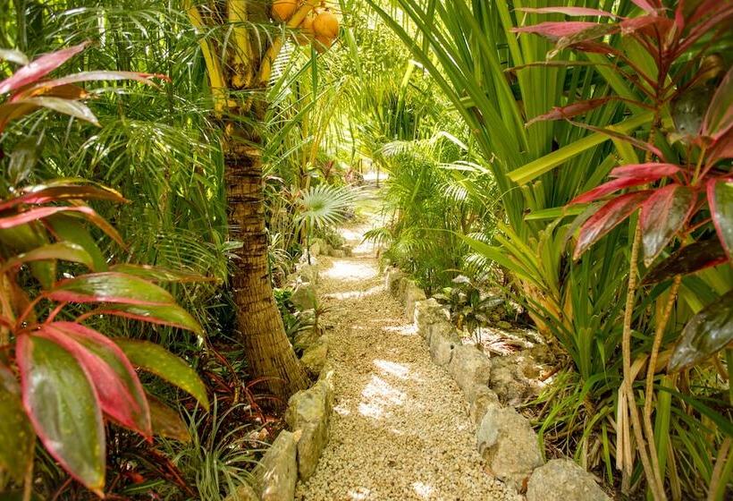 הוסטל Aldea Joyah