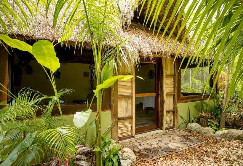 فندق صغير Aldea Joyah