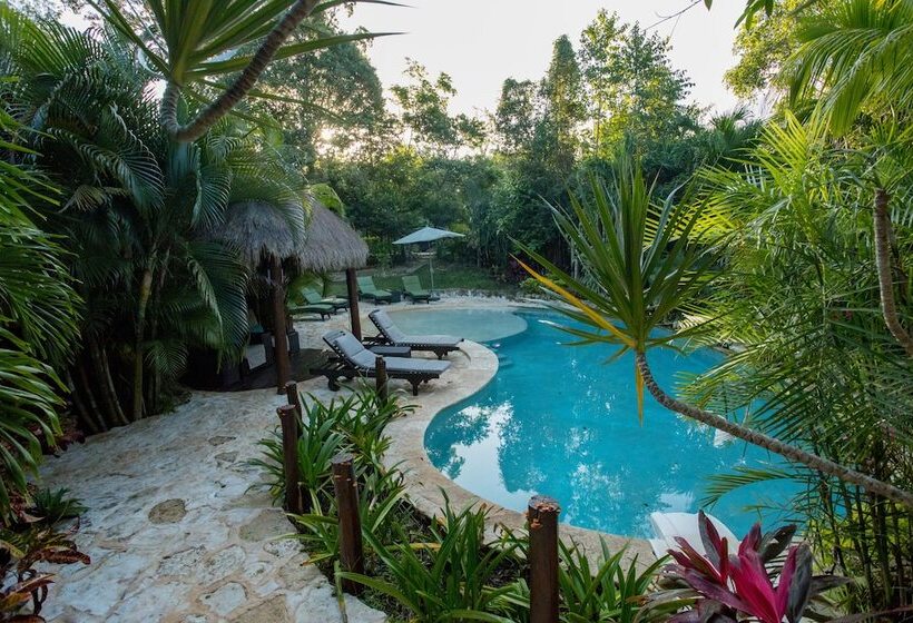 فندق صغير Aldea Joyah