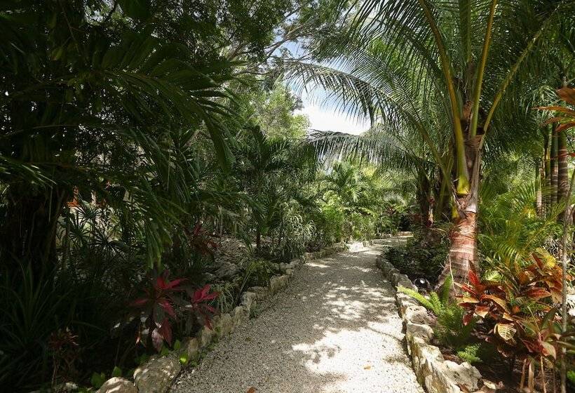 فندق صغير Aldea Joyah