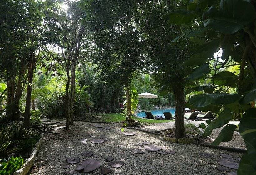 فندق صغير Aldea Joyah