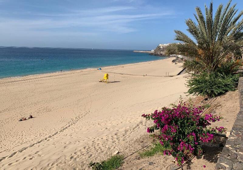 Apartamentos Alberto