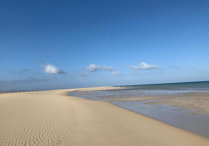 Apartamentos Alberto