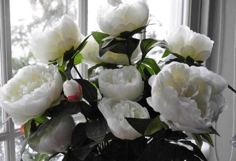 Brockamour Manor Bed And Breakfast