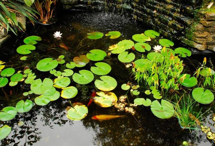 Brockamour Manor Bed And Breakfast