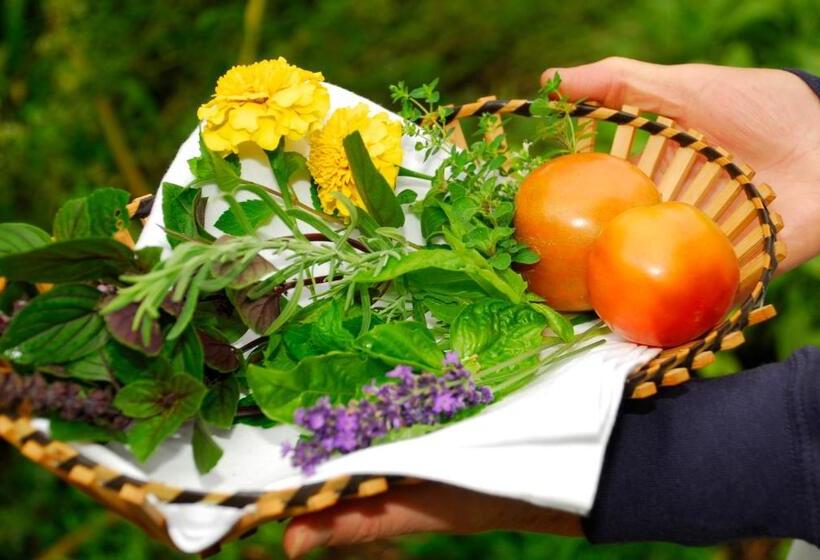 Brockamour Manor Bed And Breakfast