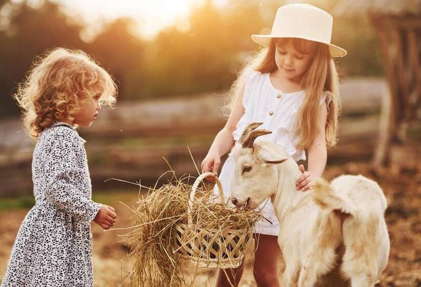 Ferienwelt Kesselgrub Hotel In Altenmarkt Zauchensee