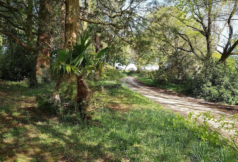 Great Trethew Manor Hotel & Self Catering Lodges